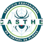 CASTE LOGO PNG